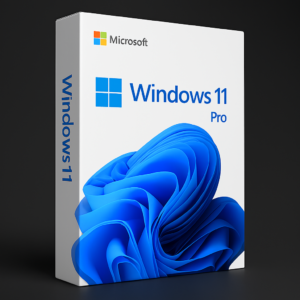 Windows 11 Professional Retail License Key